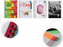 Kołozeszyt_B5 160k kratka z kolorowymi marginesami mix INTERDRUK Interdruk