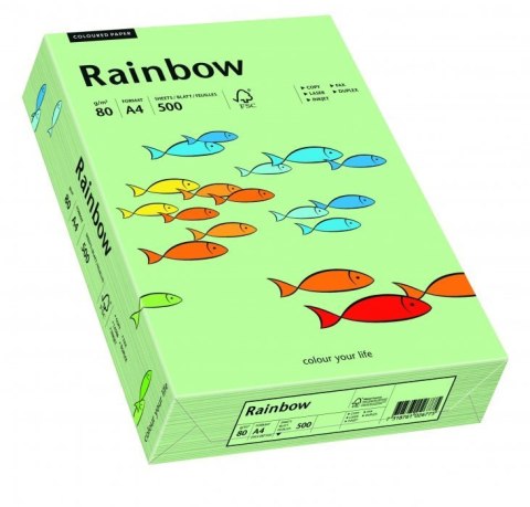 Papier xero kolorowy RAINBOW przygaszona zieleń R75 88042629 Rainbow Papier xero kolorowy RAINBOW przygaszona zieleń R75 88042629 Rainbow