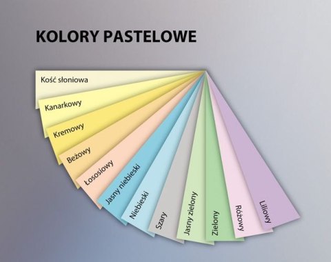 Papier xero A4 80g kremowy xem408002 EMERSON Emerson Papier xero A4 80g kremowy xem408002 EMERSON Emerson