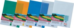 Koperta na dokumenty, pionowa transparentna DCD64-T PENTEL Pentel