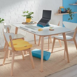 Ortopedyczna poduszka na krzesło Leitz Ergo Cosy, szara 52840089 Leitz