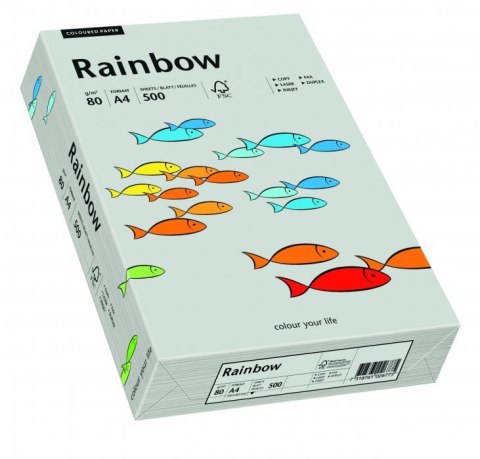 Papier xero kolorowy RAINBOW szary R96 88042805 Rainbow Papier xero kolorowy RAINBOW szary R96 88042805 Rainbow
