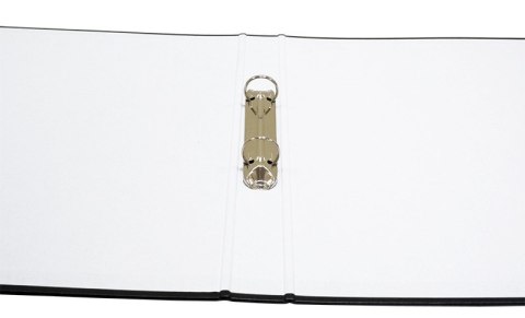 Segregator ringowy A4/2R/20mm 3732001-06 zielony Donau