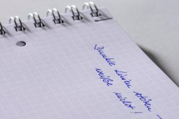 Kołonotatnik_Notizio 7017 A4 kratka 90 kartek oprawa - tworzywo sztuczne, szary, Notizio by Avery Zweckform Avery Zweckform