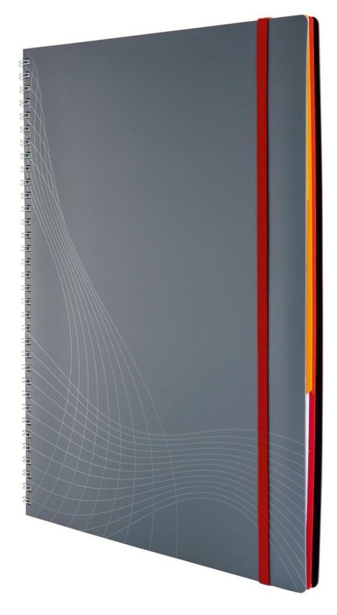 Kołonotatnik_Notizio 7017 A4 kratka 90 kartek oprawa - tworzywo sztuczne, szary, Notizio by Avery Zweckform Avery Zweckform Kołonotatnik_Notizio 7017 A4 kratka 90 kartek oprawa - tworzywo sztuczne, szary, Notizio by Avery Zweckform Avery Zweckform