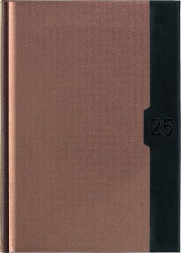 Kalendarz A-5 STANDARD książkowy (KS1), 22 - złoty linea / czarny 2025 TELEGRAPH Telegraph