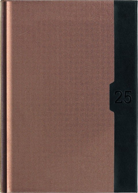 Kalendarz A-5 STANDARD książkowy (KS1), 22 - złoty linea / czarny 2025 TELEGRAPH Telegraph Kalendarz A-5 STANDARD książkowy (KS1), 22 - złoty linea / czarny 2025 TELEGRAPH Telegraph