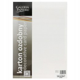 Karton ozdobny Kratka biały 20 szt./op. 240 g/m2 Galeria Papieru