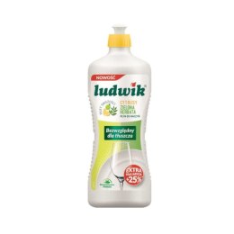 LUDWIK Płyn do mycia naczyń 450g Cytryna plus Zielona herbata 28379 Ludwik