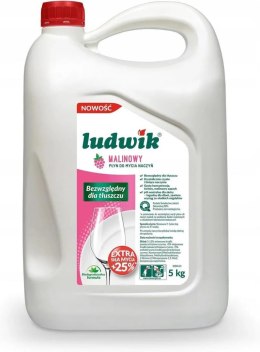 LUDWIK Płyn do naczyń 5l malinowy 30853 Ludwik