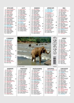 Kalendarz plakietka BESKIDY 25x35 cm mix wzorów Beskidy