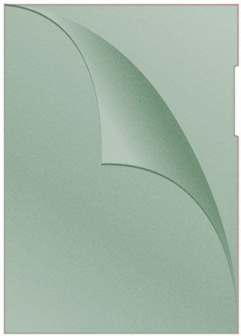 Obwoluta A4 L 120um zielona DONAU 1785095-06 Donau