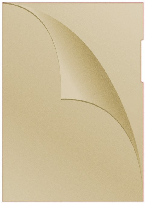 Obwoluta A4 L 120um żółta DONAU 1785095-11 Donau