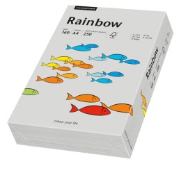 Papier xero kolorowy A4 160g 250 ark. RAINBOW R96 szary 88042813 Rainbow