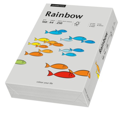 Papier xero kolorowy A4 160g 250 ark. RAINBOW R96 szary 88042813 Rainbow