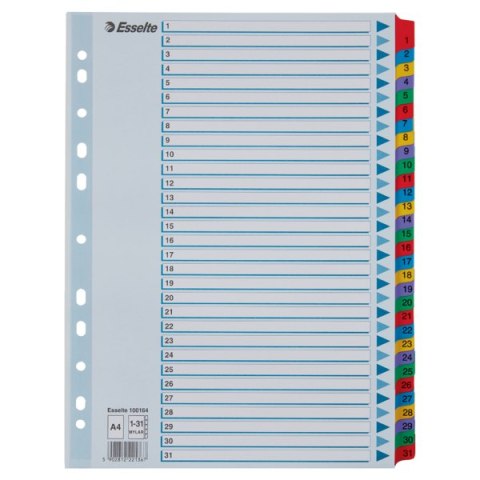 Przekładki kartonowe MYLAR A4 1-31 100164 białe ESSELTE Esselte