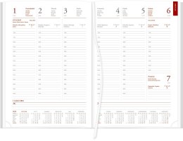 Kalendarz Vivella B5 Tygodniowy 216 B5TB szary 2025 WOKÓŁ NAS Wokół Nas