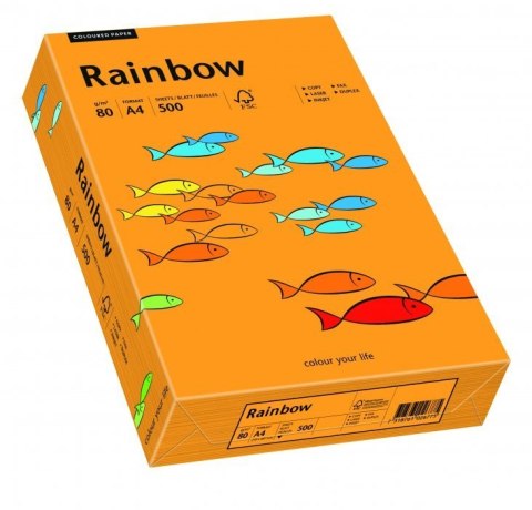 Papier xero kolorowy RAINBOW pomarańczowy R24 88042431 Rainbow Papier xero kolorowy RAINBOW pomarańczowy R24 88042431 Rainbow