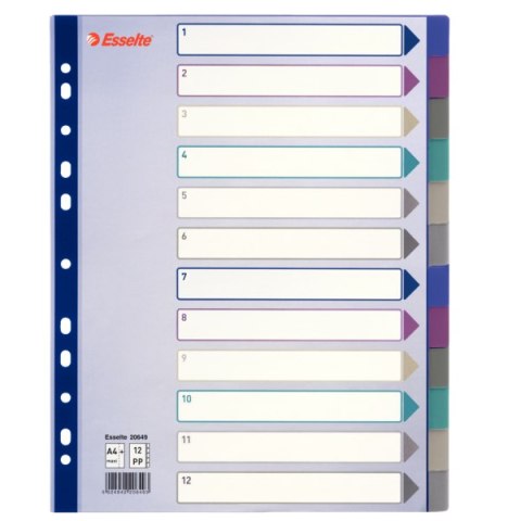 Przekładki plastikowe Multicolor PP, A4 Maxi - 12 kart Esselte, 20649 Esselte Przekładki plastikowe Multicolor PP, A4 Maxi - 12 kart Esselte, 20649 Esselte