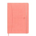 Notatnik OXFORD SIGNATURE A5 80 kartek kratka mix past 400154940 Oxford