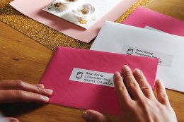 Etykieta DYMO adresowa - 89 x 36 mm, biały - VALUE PACK 24 szt. S0722390 Dymo