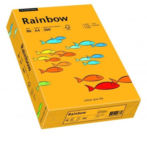 Papier xero kolorowy RAINBOW jasnopomarańczowy R22 88042409 Rainbow Papier xero kolorowy RAINBOW jasnopomarańczowy R22 88042409 Rainbow