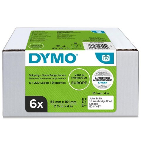 Identyfikator transportowy imienny - 101 x 54 mm, biały - VALUE PACK 6 szt. 2093092 Dymo