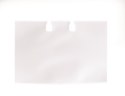 Wkład do VISIFIX 241819 DURABLE koszulka do rolodeksa (40) Durable