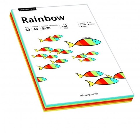 Papier xero kolorowy RAINBOW mix Intensywny odcień 88043188 Rainbow Papier xero kolorowy RAINBOW mix Intensywny odcień 88043188 Rainbow