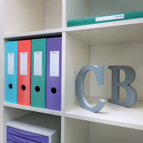 Segregator Esselte ColourBreeze, z polyfoamu A4, 82 mm, koralowy 628427 Esselte Segregator Esselte ColourBreeze, z polyfoamu A4, 82 mm, koralowy 628427 Esselte
