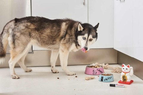 Marker E500 2-7mm czarny do na peł.EDDING (X) Edding