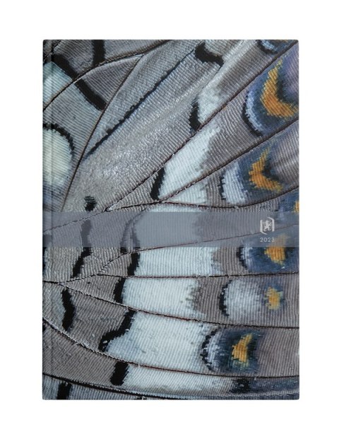 Kalendarz Oxford Wings 2023 A5 dzienny 400165174 Oxford