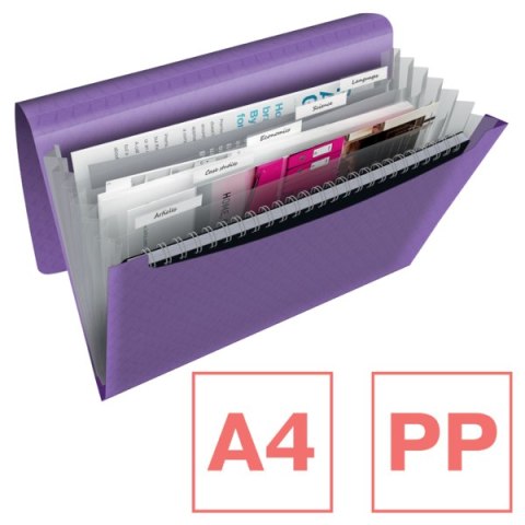 Teczka z przegródkami Esselte Colour Breeze, 6 przegródek, lawendowy 628448 Esselte Teczka z przegródkami Esselte Colour Breeze, 6 przegródek, lawendowy 628448 Esselte