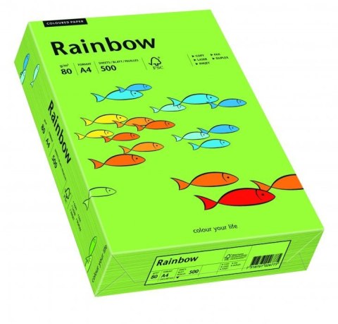 Papier xero kolorowy RAINBOW zielony R76 88042651 Rainbow Papier xero kolorowy RAINBOW zielony R76 88042651 Rainbow