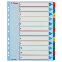 Przekładki kartonowe MYLAR A4 MAXI 1-12 ESSELTE 100209 Esselte