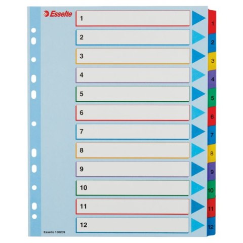 Przekładki kartonowe MYLAR A4 MAXI 1-12 ESSELTE 100209 Esselte Przekładki kartonowe MYLAR A4 MAXI 1-12 ESSELTE 100209 Esselte