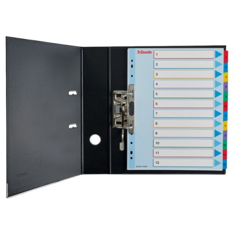 Przekładki kartonowe MYLAR A4 MAXI 1-12 ESSELTE 100209 Esselte Przekładki kartonowe MYLAR A4 MAXI 1-12 ESSELTE 100209 Esselte