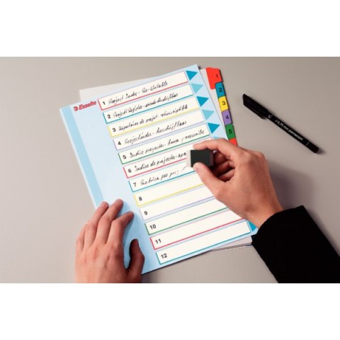 Przekładki kartonowe MYLAR A4 MAXI 1-12 ESSELTE 100209 Esselte Przekładki kartonowe MYLAR A4 MAXI 1-12 ESSELTE 100209 Esselte