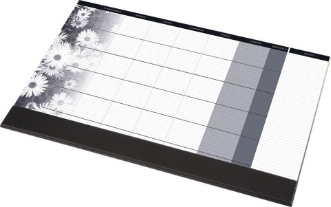 BIUWAR z listwą miesięczny 0318-0008-99 PANTA PLAST 407x330 mm Panta Plast BIUWAR z listwą miesięczny 0318-0008-99 PANTA PLAST 407x330 mm Panta Plast