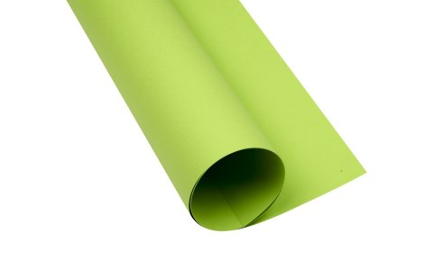 Karton kolorowy A3 160g 25ark jasnozielony 400150240 OXFORD Top 2000 Karton kolorowy A3 160g 25ark jasnozielony 400150240 OXFORD Top 2000