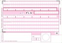 Polecenie przelewu, (1+1) A6 80kartek, 10-449-5M DOTTS Dotts